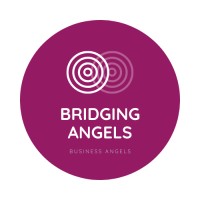 Bridging Angels Logo