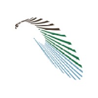 IMPREGNA TRATAMIENTOS Logo