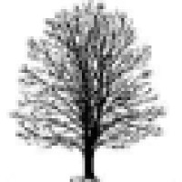 James L. Young Public Relations, Sycamore Press Div.; InsuranceProsGuides.com Logo
