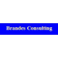 Brandes Consulting Logo