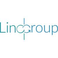 The Linq Group Logo
