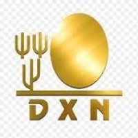 DXN INTERNACIONAL Logo