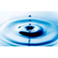 Calm Ventures Logo
