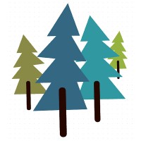 Camp Curiosity & Curiosity Academy Logo