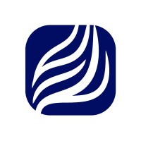 Premium Solution Logo