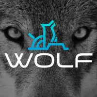 Grupo Wolf Logo