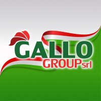 Gallo Group Srl Logo