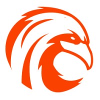 Flying Web Solutions Logo