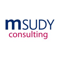 MSUDY Consulting Logo