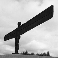 SJL Photography & Art Logo