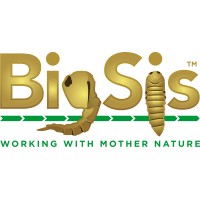 BigSis (Insect control) Logo