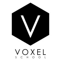 Voxel School Logo