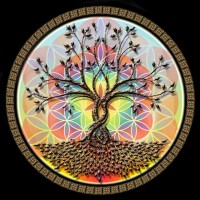 Magalies Wellness Centre Logo