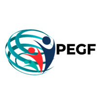 Pamela Eze Global Foundation Logo