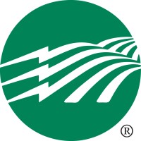 Berkeley Electric Cooperative, Inc. Logo