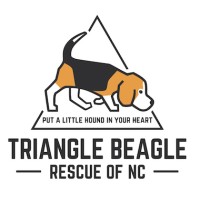 Triangle Beagle Rescue of NC Logo