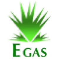Egyptian Natural Gas Holding Company (EGAS) Logo