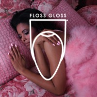 Floss Gloss Ltd Logo
