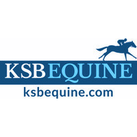 KSB Equine Services Ltd Logo