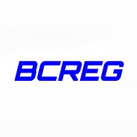 Blue Coral Real Estate Group, LLC Logo