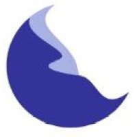 Crazy Moon Consulting LLC Logo