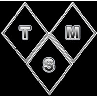 TAYLOR MADE SECURITY, LLC Logo