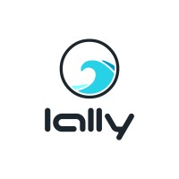 LALLY CONSULTING LLC Logo