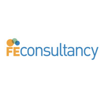 FE Consultancy B.V. Logo