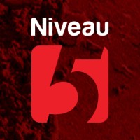 Niveau 5 Logo