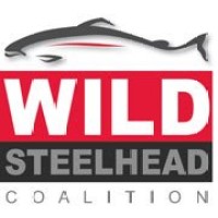 Wild Steelhead Coalition Logo