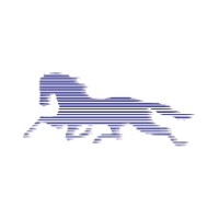 BLUE HORSE CORPORATION Logo