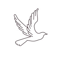 Amara Home Care Services Inc. Logo