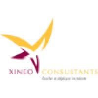 XINEO Consultants Logo