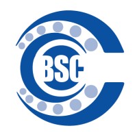 BEARING SALES CORPORATION Logo