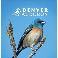 Denver Audubon Logo
