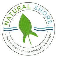 Natural Shore Technologies, Inc. Logo