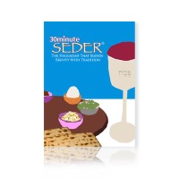 30 Minute Seder Logo