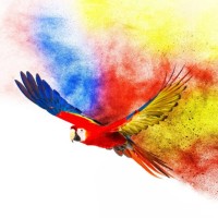 Avian & Exotic Animal Medical Consulting Logo