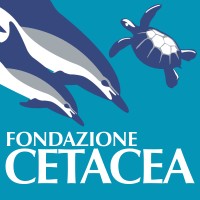 Fondazione Cetacea Logo