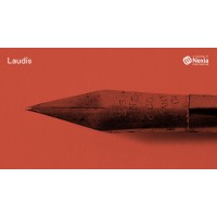 Laudis Consultor Logo