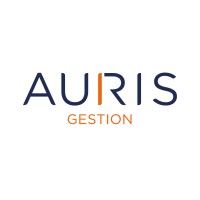 Auris Gestion Logo