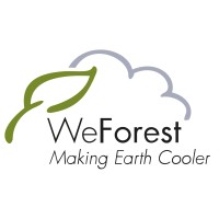 WeForest🌿 Logo