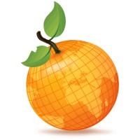 Nowadays Orange Productions LLC Logo