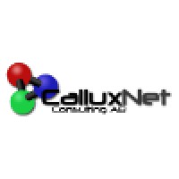 CalluxNet Consulting AB Logo