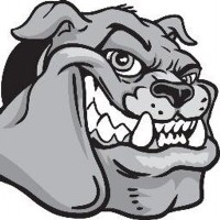 Bronxdale High School Logo