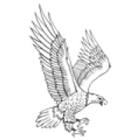 ELLICOTTVILLE CENTRAL SCHOOL Logo