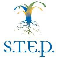 Strategies to Empower People Logo