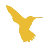 Hummingbird Resources Plc Logo