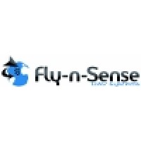 Fly-n-Sense SAS Logo