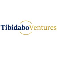 Tibidabo Ventures Consultants Logo